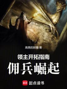 领主开拓指南：佣兵崛起