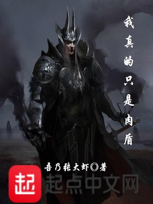 我真的只是肉盾