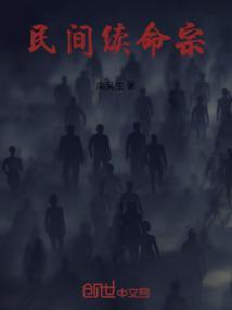 民间续命宗