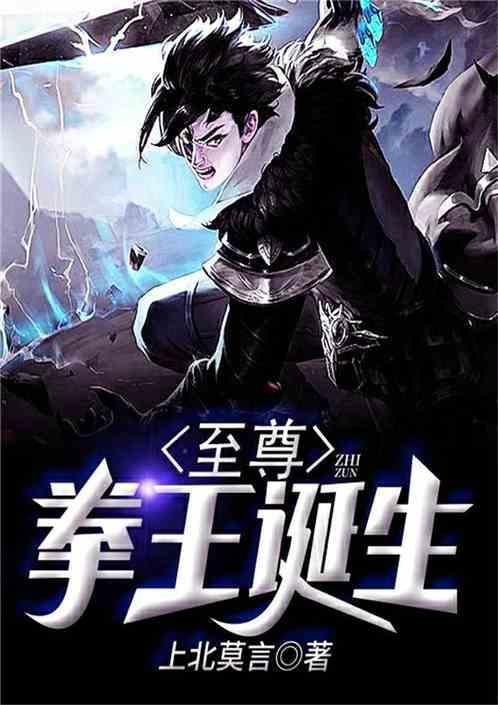 至尊拳王诞生