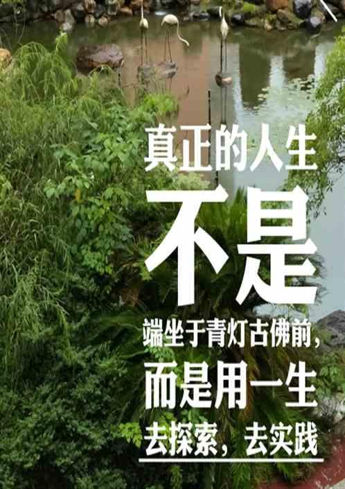 单车斜阳