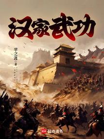 汉家武功