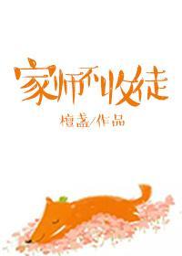 家师不收徒gl