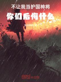 不让我当护国神将，你们后悔什么