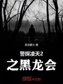 警探凌天2之黑龙会