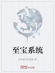 至宝系统