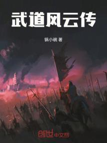 武道风云传