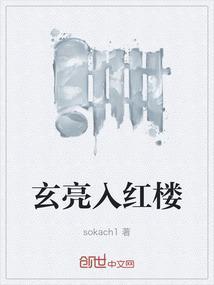 玄亮入红楼