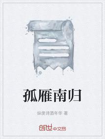 孤雁南归
