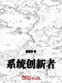 系统创新者