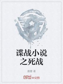 谍战小说之死战