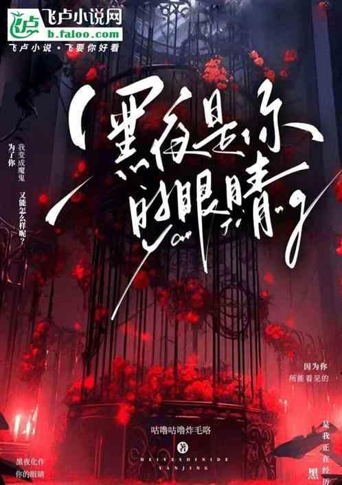 黑夜是你的眼睛