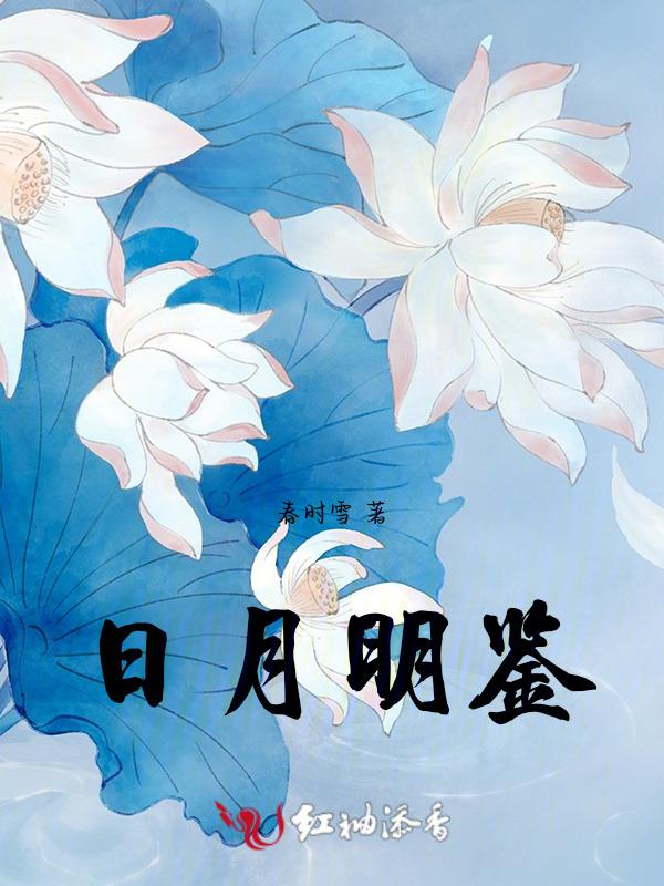 日月明鉴