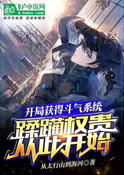 获得斗气系统，蹂躏权贵从此开始