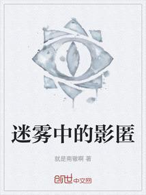 迷雾中的影匿