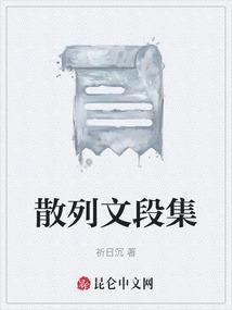 散列文段集