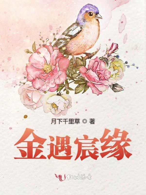 金遇宸缘
