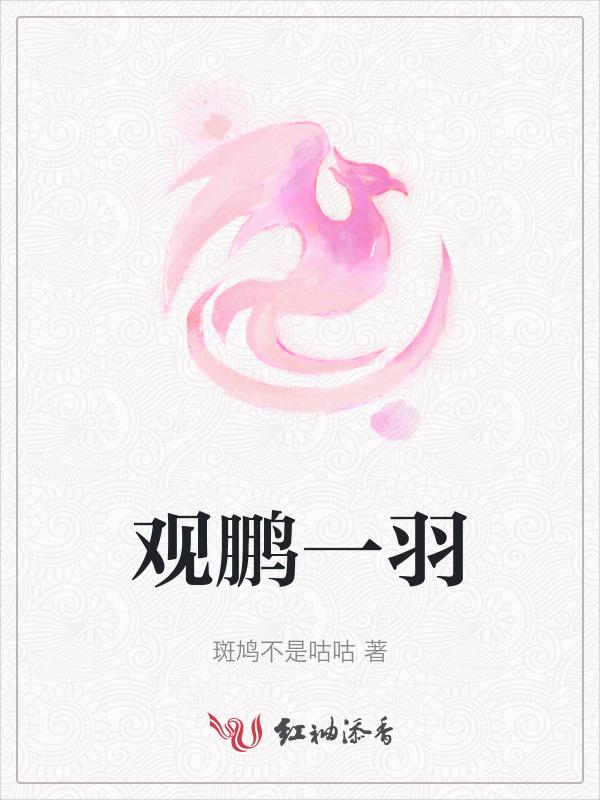 观鹏一羽