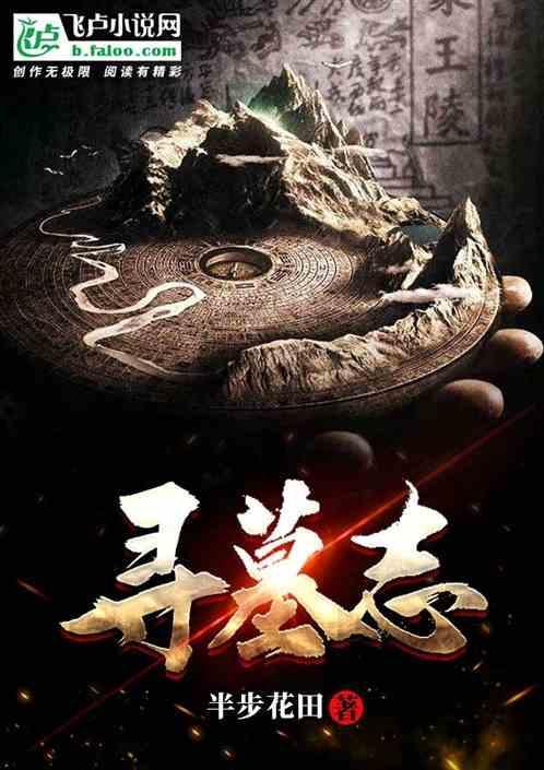 寻墓志