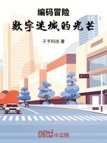编码冒险：数字迷城的光芒