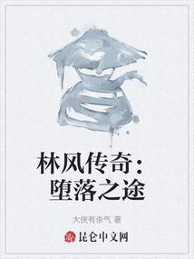 林风传奇：堕落之途