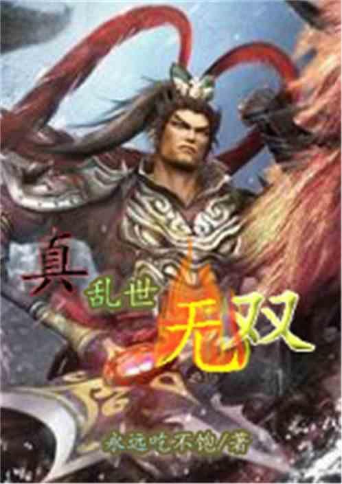 真.乱世.无双