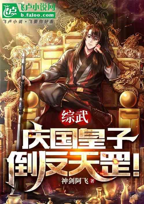 综武：庆国皇子，倒反天罡！