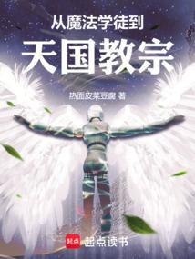 从魔法学徒到天国教宗