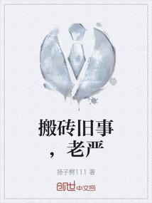 搬砖旧事，老严