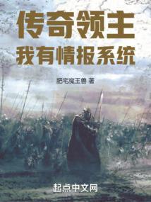 传奇领主：我有情报系统