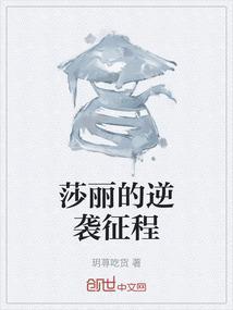 莎丽的逆袭征程