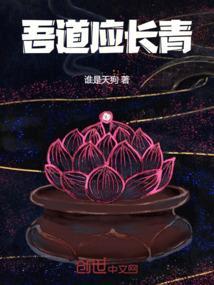 吾道应长青