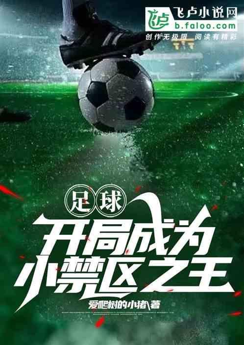 足球：开局成为小禁区之王