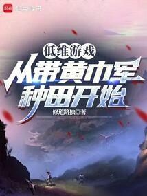 低维游戏：从带黄巾军种田开始