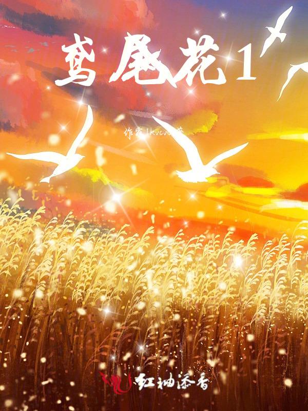 鸢尾花1
