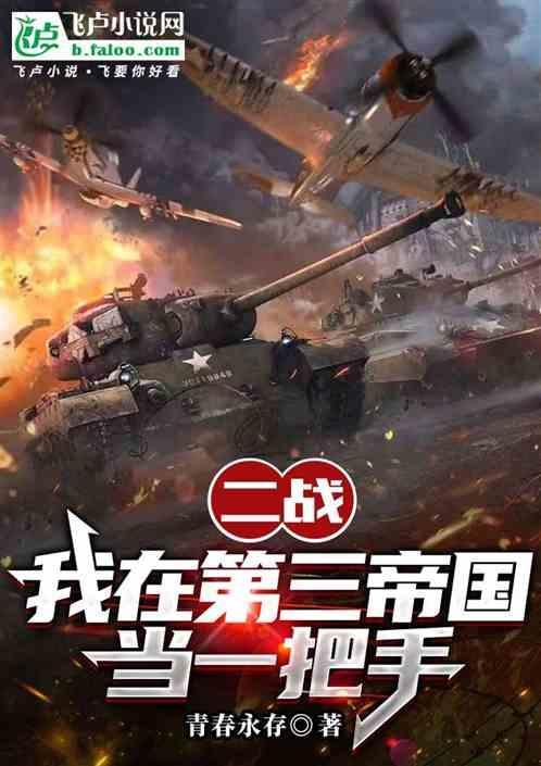 二战:我在第三帝国当一把手