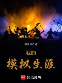 我的模拟生涯