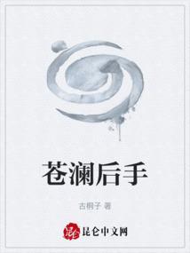 苍澜后手