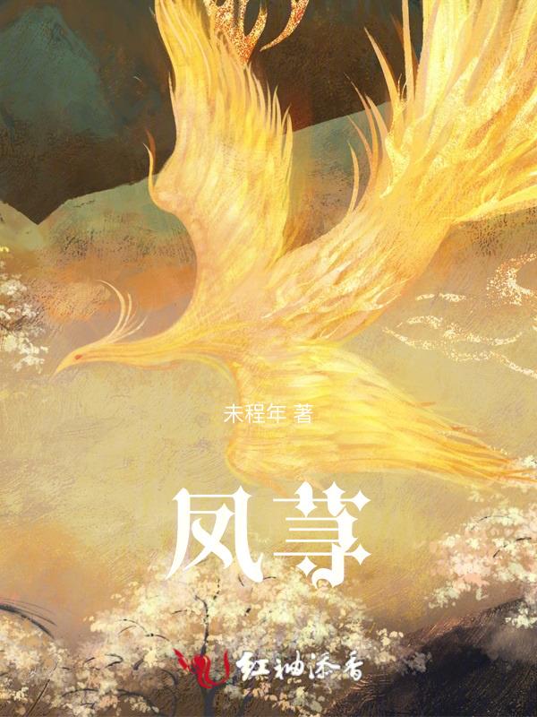 凤荨